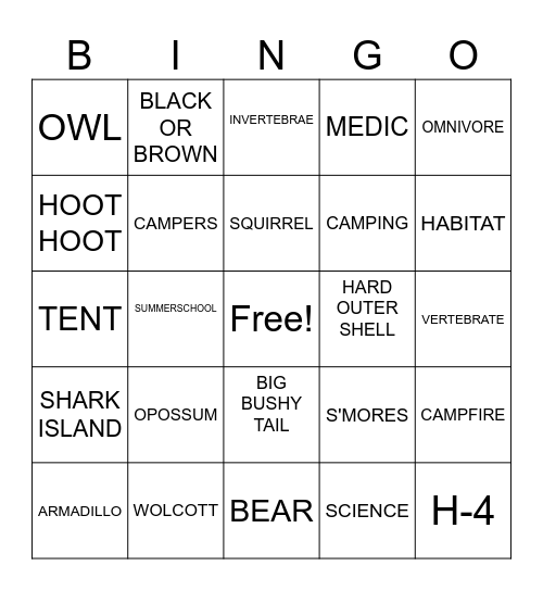 SUMMER SCHOOL 2023 Bingo Card