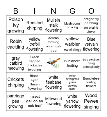 Prairie Island Nature Trail Bingo Card