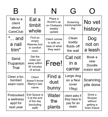 Vet Clinic Bingo Card