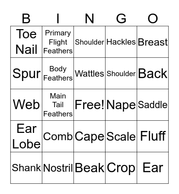 Chicken Bingo Card