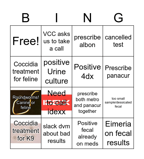 Labs Bingo Card