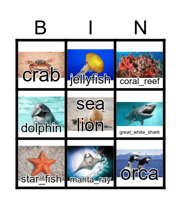 Sea Animals Bingo Card