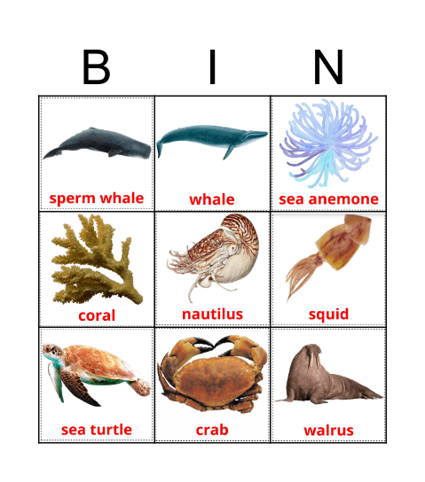 SEA ANIMALS Bingo Card