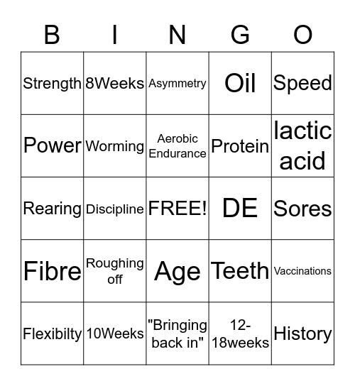 Fitness and Training 1 Bingo Card