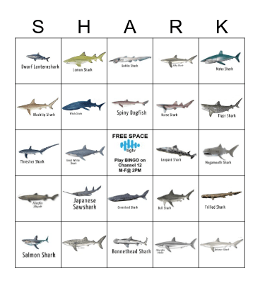 SHARK BINGO Card