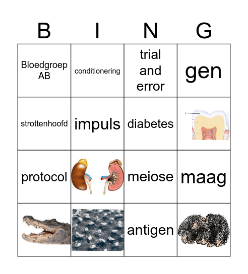 Klas 3hv bingo 2.0 Bingo Card