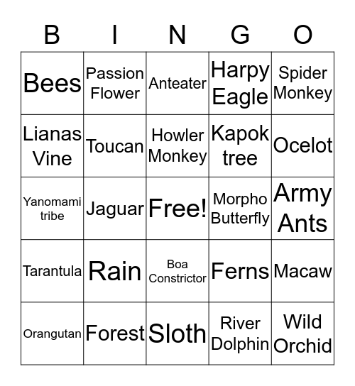 Rain Forest Bingo Card