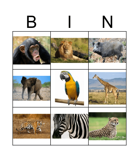 Wild Animals Bingo Card