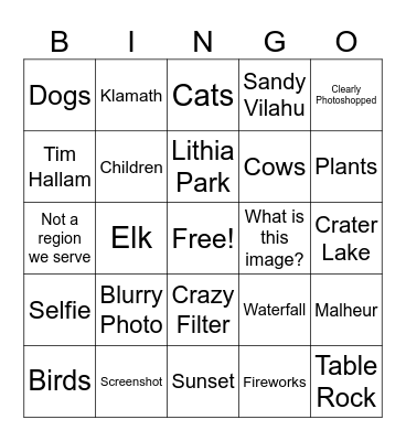 Marketing Photo Contest Bingo! Bingo Card