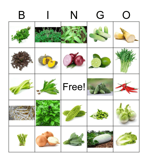 หน่วยบูรณาการ ปลูกผัก ม.5 Bingo Card