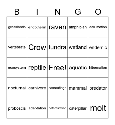 Summer Learning Adventure Bingo Card