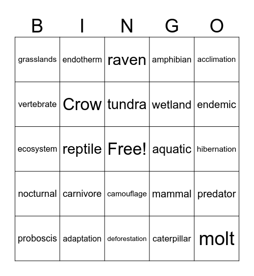 Summer Learning Adventure Bingo Card