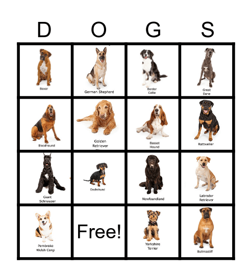 Dog Breed Bingo Card