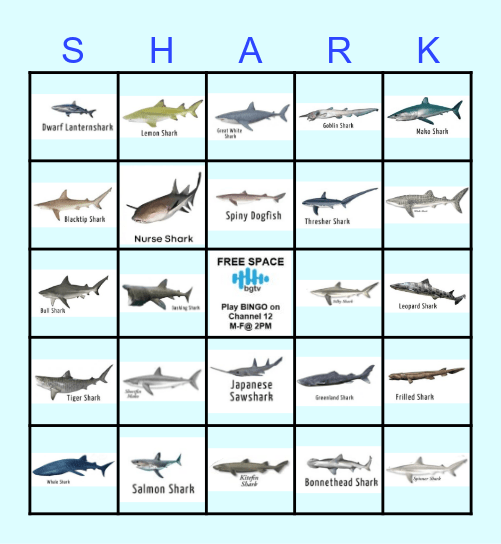 SHARK ATTACK Bingo Card