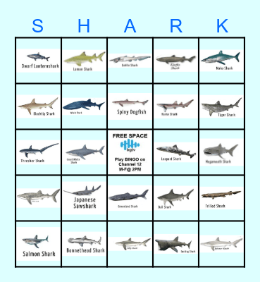 SHARK ATTACK Bingo Card