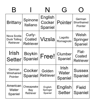 Sporting Breeds Bingo Card