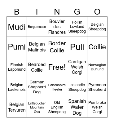 Herding Breeds Bingo Card