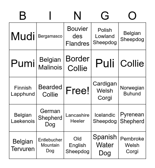 Herding Breeds Bingo Card