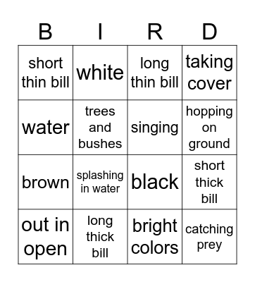 Bird Watching Bingo Card
