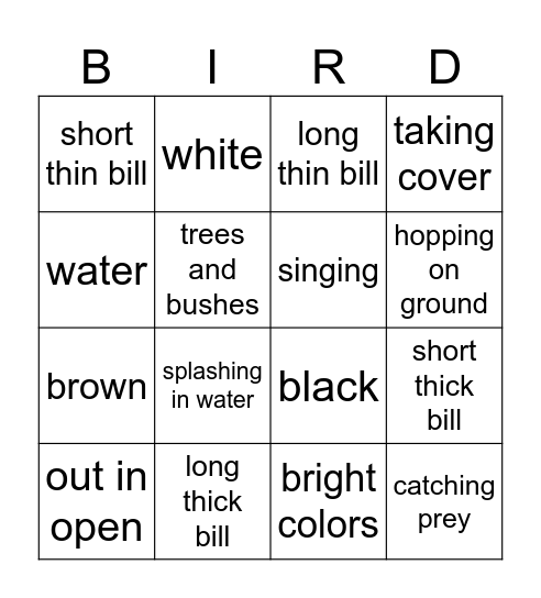 Bird Watching Bingo Card