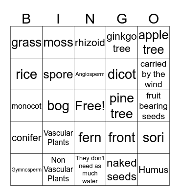 Classifying Plant Groups Bingo Card