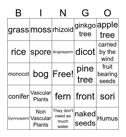 Classifying Plant Groups Bingo Card