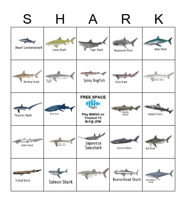 SHARK BINGO Card