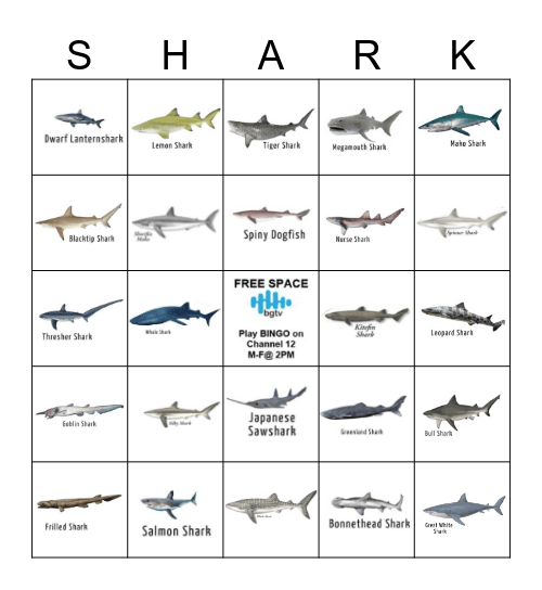 SHARK BINGO Card