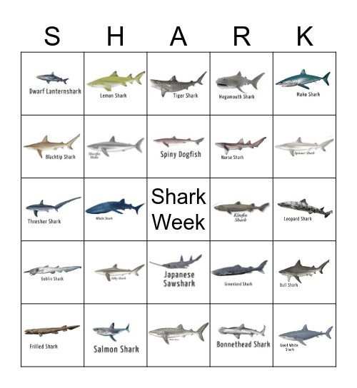 SHARK BINGO Card