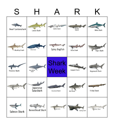 SHARK BINGO Card