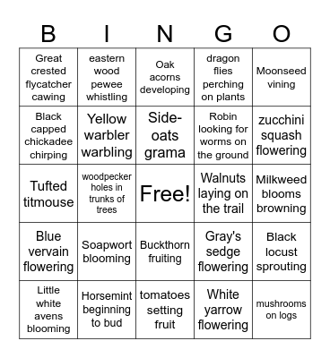 Nature BIngo Card