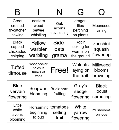 Nature BIngo Card