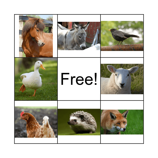 Charlie's Place Animal Bingo! Bingo Card