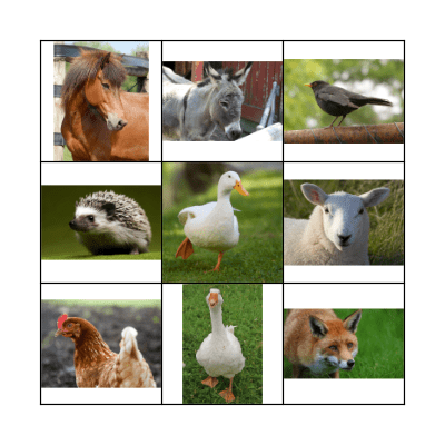 Charlie's Place Animal Bingo! Bingo Card