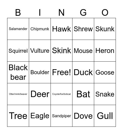 Shenandoah Bingo Card