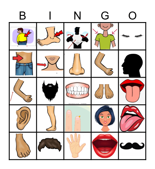 Les parties du corps (body parts) Bingo Card