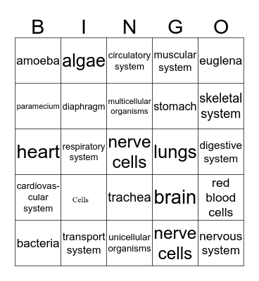 Cells and Body Systems Bingo Card