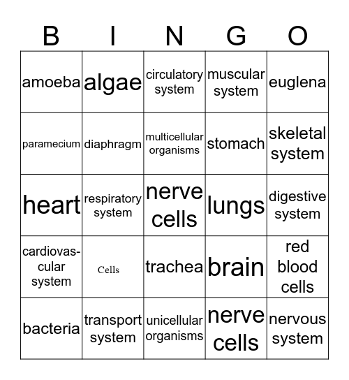 Cells and Body Systems Bingo Card