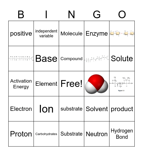 Summer Biochemistry Bingo Card