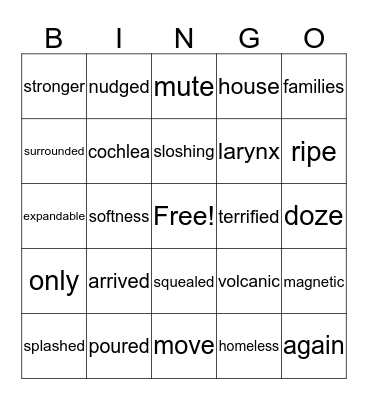 Shrimp Guided Reading Bingo Card