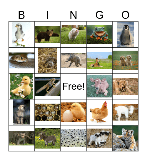 Baby Animal Bingo Card