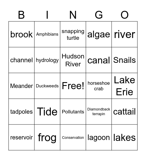 Rivers, Streams, Lakes & Ponds Bingo Card