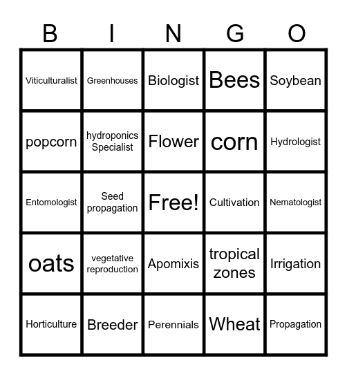 Sustainable Bingo Card