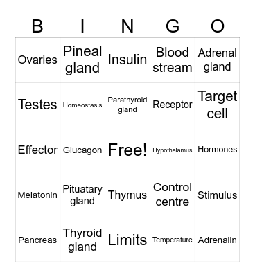 Endocrine system Bingo Card