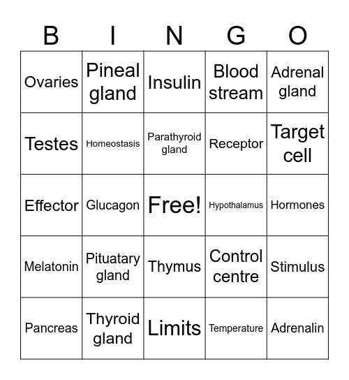 Endocrine system Bingo Card