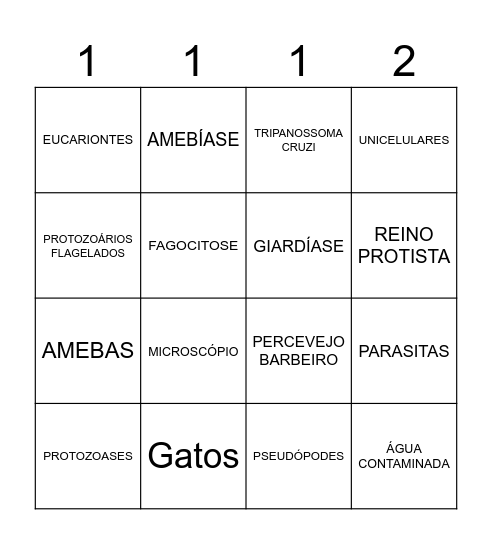 BINGO - PROTOZOÁRIOS Bingo Card