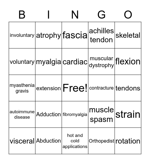 muscular system Bingo Card