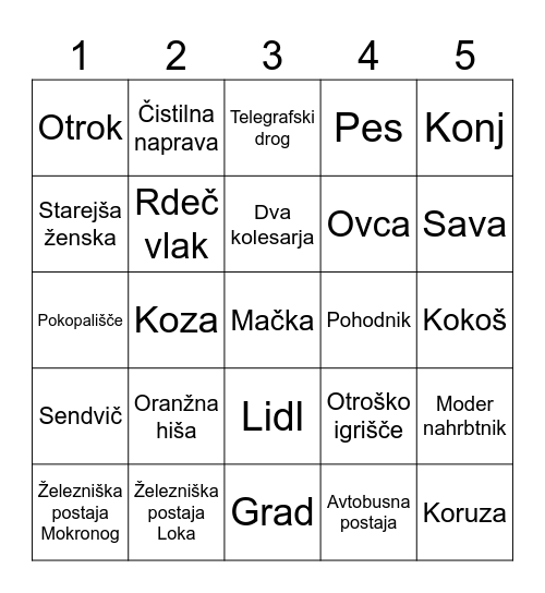 Kaj vidim po poti Bingo Card