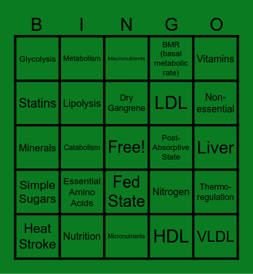 Nutrients and Metabolism Bingo Card