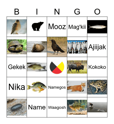 Ojibwe Animal Bingo Card
